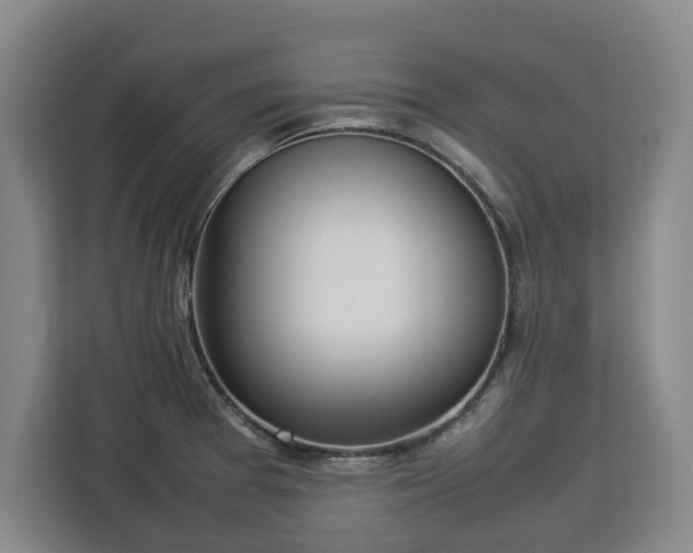 X0000112831377200908281523