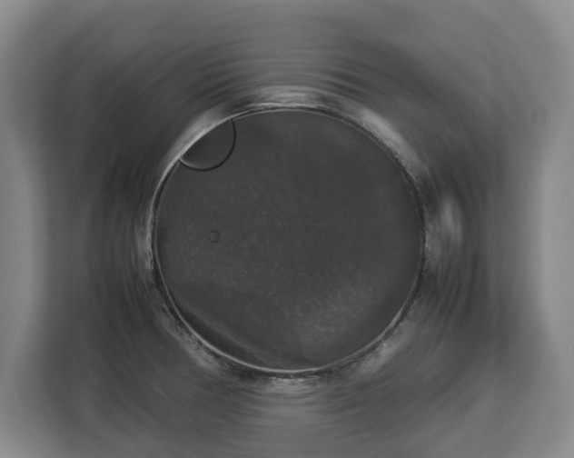 X0000112831378200908281523