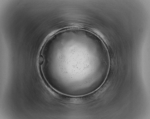 X0000112831379200908281523