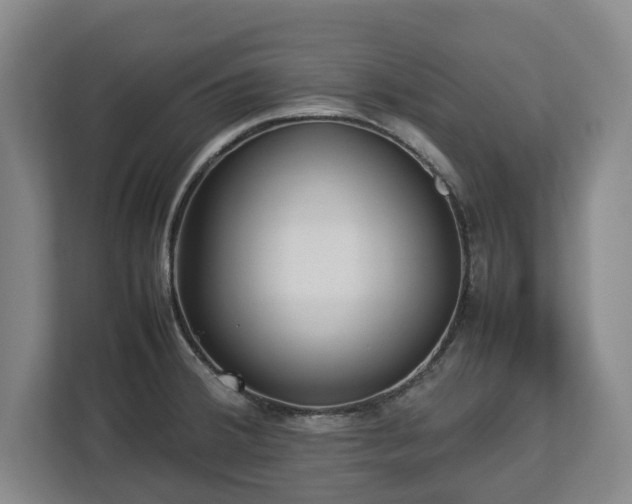 X0000112831380200908281523