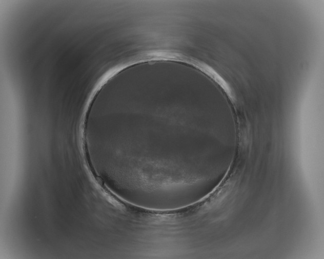 X0000112831381200908281523