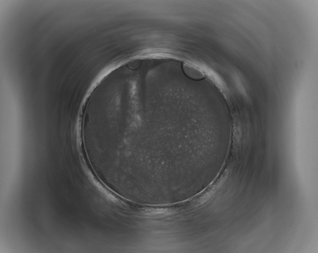 X0000112831382200908281523