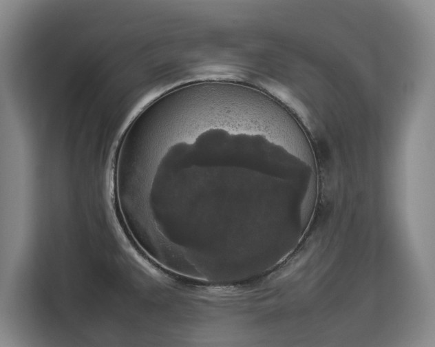 X0000112831383200908281523