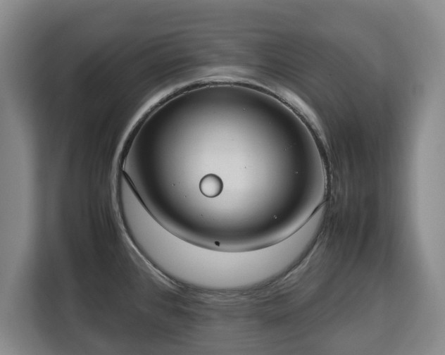 X0000112831384200908281523