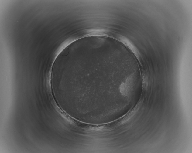 X0000112831386200908281523