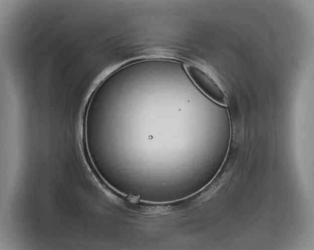 X0000112831387200908281523