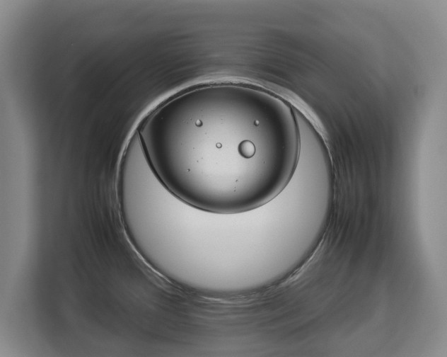 X0000112831388200908281523