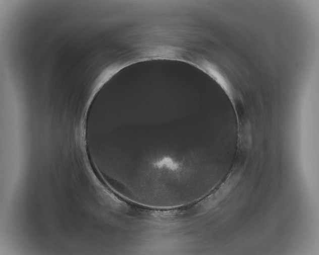 X0000112831389200908281523