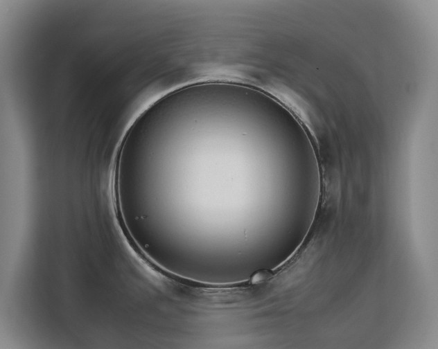 X0000112831391200908281523