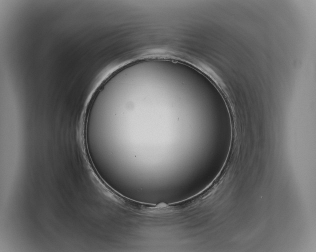 X0000112831392200908281523