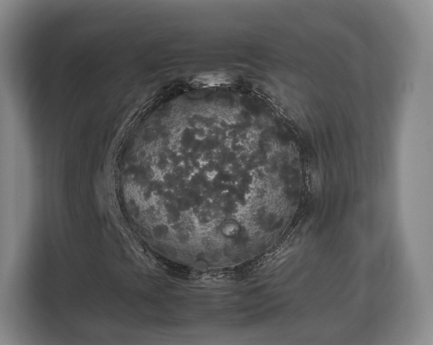 X0000112831393200908281522