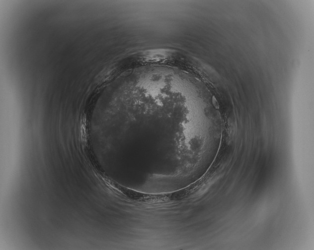 X0000112831394200908281522