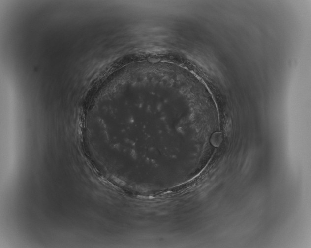 X0000112831397200908281522