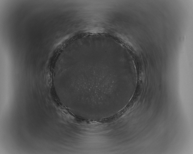 X0000112831398200908281522