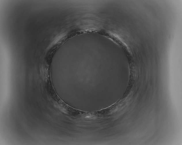 X0000112831399200908281522