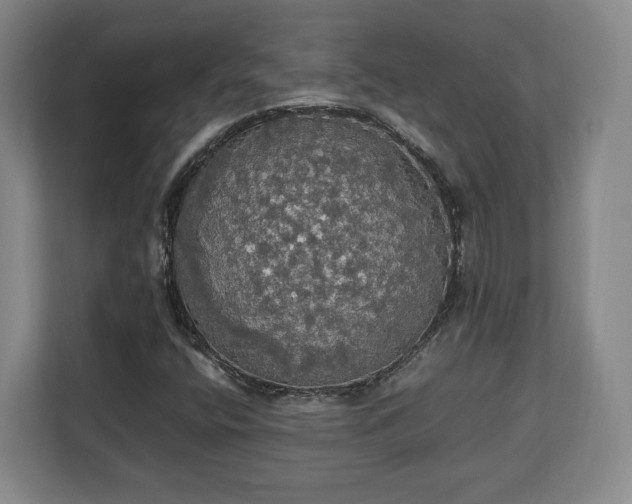 X0000112831400200908281522