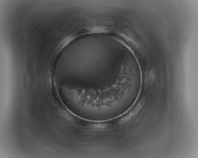 X0000112831401200908281522