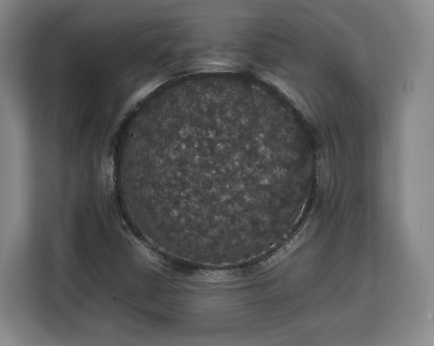 X0000112831402200908281522