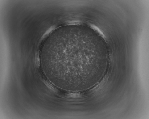 X0000112831403200908281522