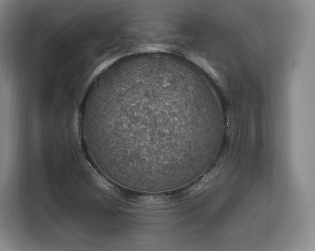 X0000112831404200908281522