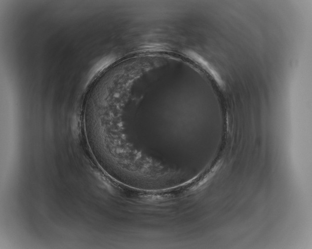 X0000112831405200908281522