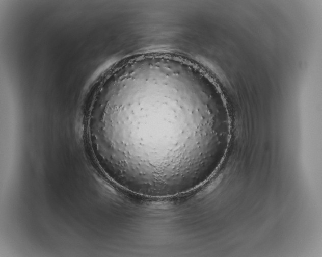 X0000112831406200908281522