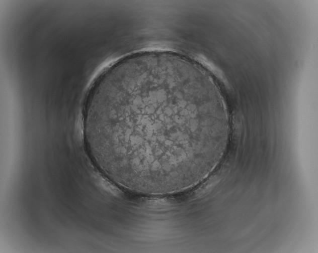 X0000112831408200908281522