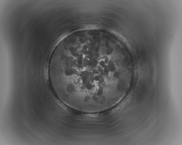 X0000112831409200908281522