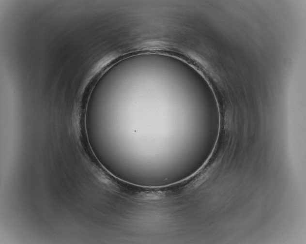 X0000112831410200908281522