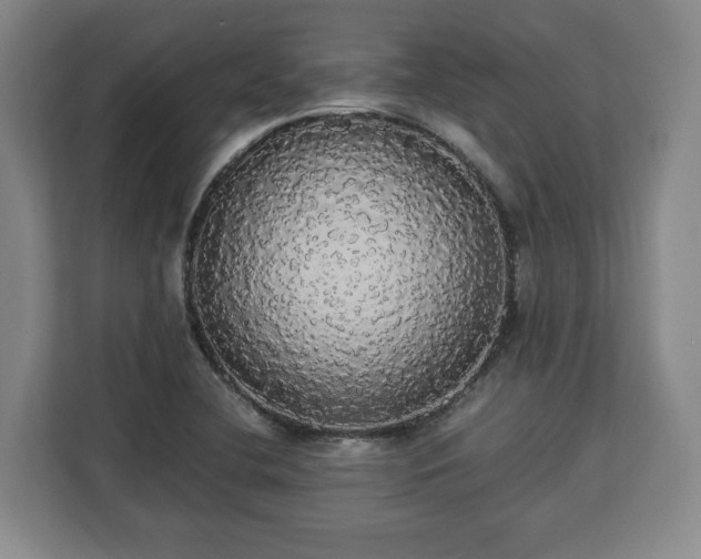 X0000112831412200908281522