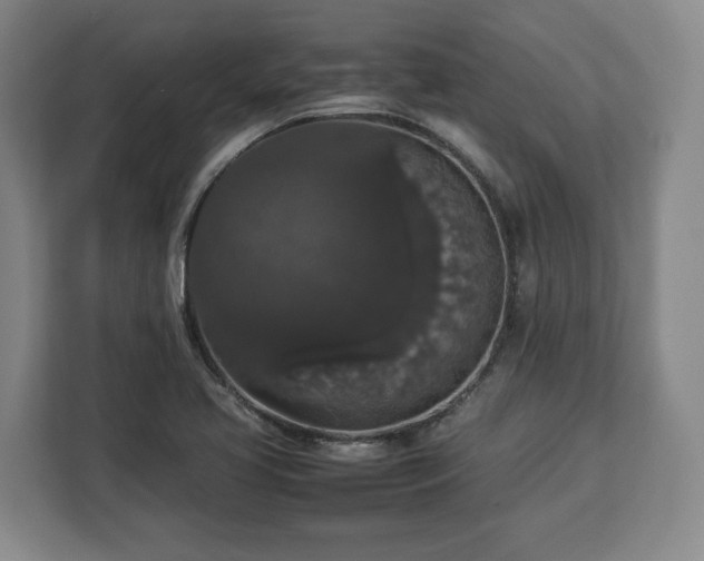 X0000112831413200908281522