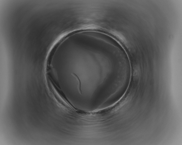 X0000112831414200908281522