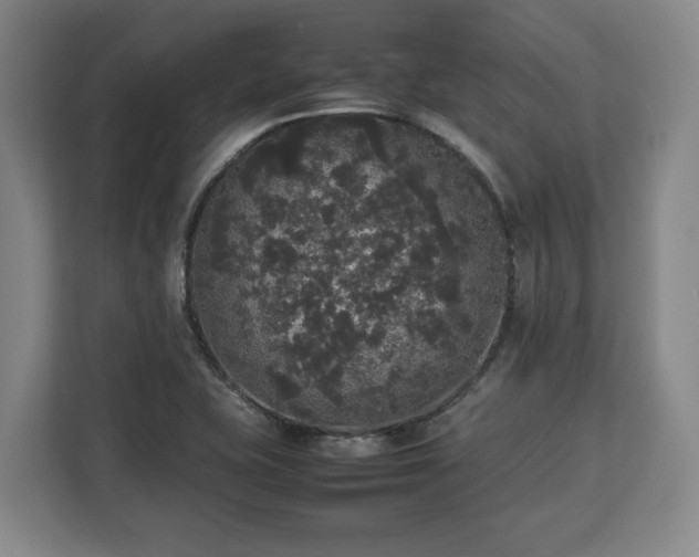 X0000112831415200908281522