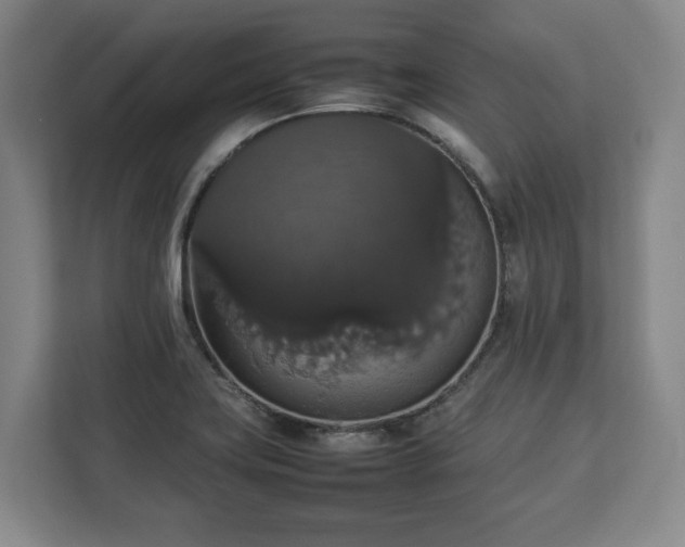 X0000112831419200908281522