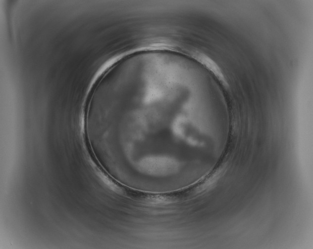 X0000112831420200908281522