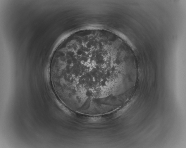 X0000112831421200908281522