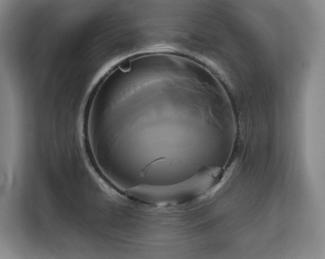 X0000112831422200908281522