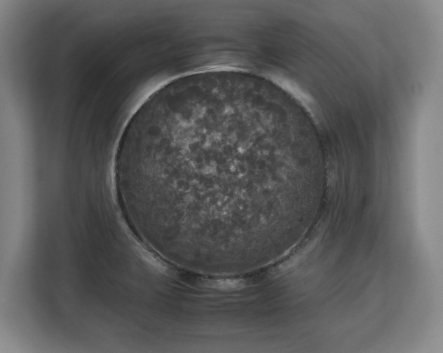 X0000112831423200908281522