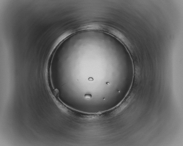 X0000112831426200908281522