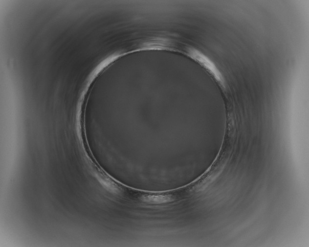 X0000112831427200908281522