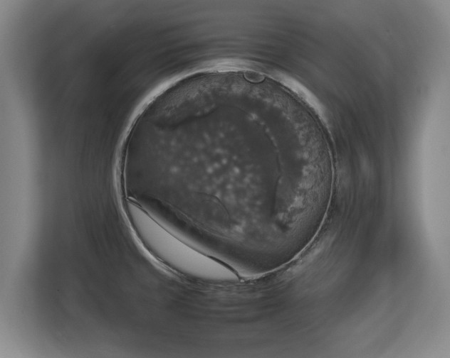 X0000112831429200908281523