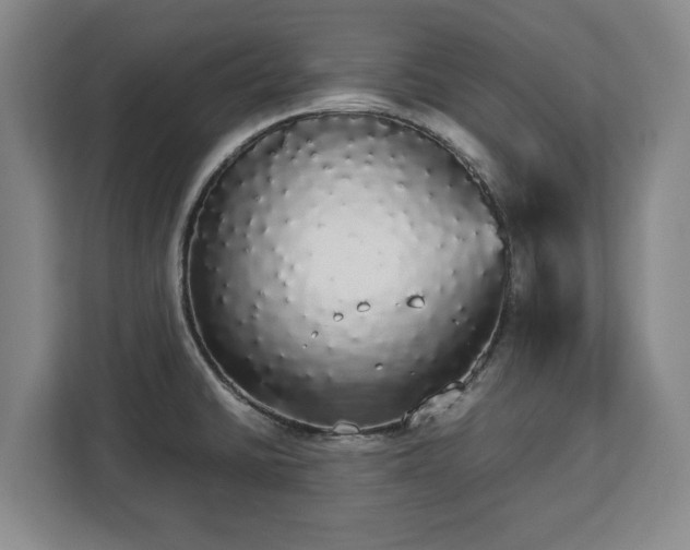 X0000112831430200908281523