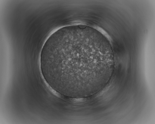 X0000112831431200908281523