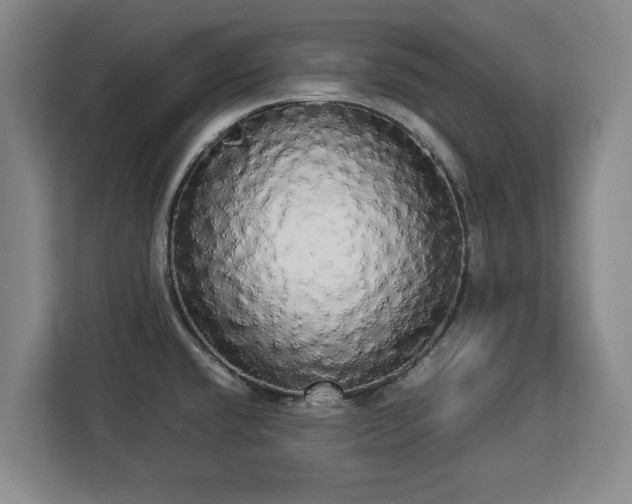 X0000112831432200908281523