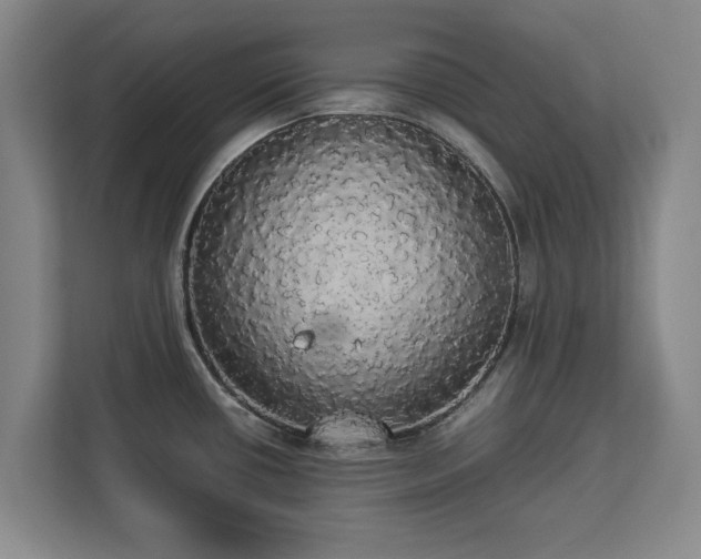 X0000112831434200908281523