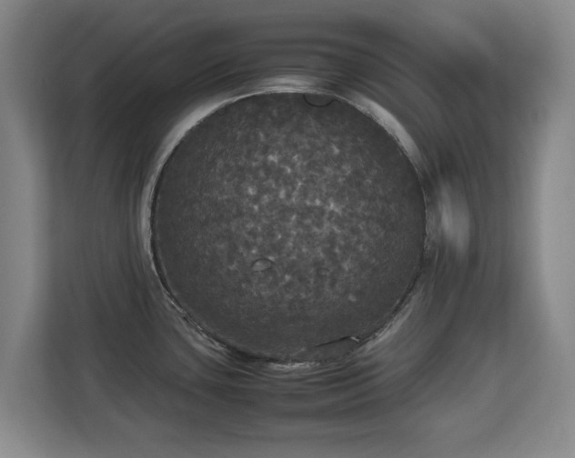 X0000112831435200908281523