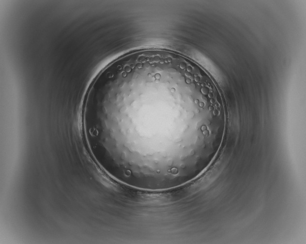 X0000112831436200908281523