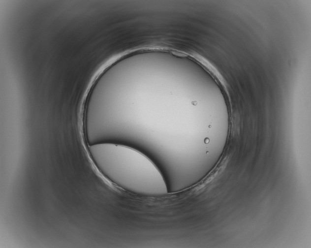 X0000112831437200908281523