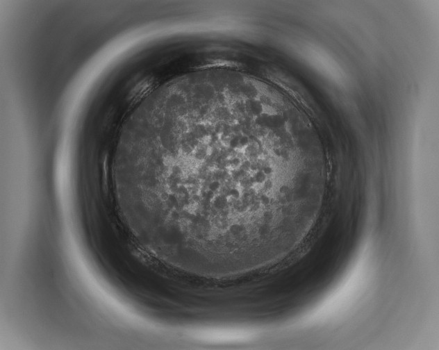 X0000112831439200908281523