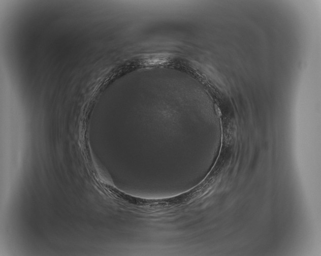 X0000112831441200908281522